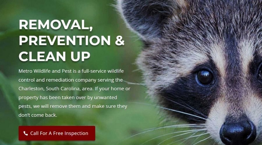 Wildlife Removal and SEO Services