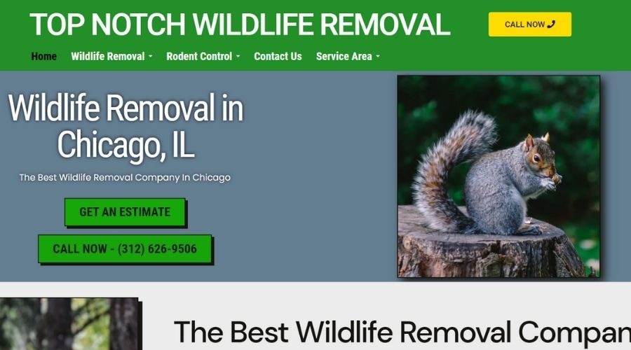 Wildlife Removal Chicago - Top Notch Wildlife Removal